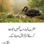 Rana Ali Profile Picture