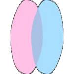 chatdansk Profile Picture