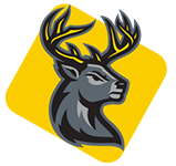 Authentic German Dirndl for Sale | Traditional Oktoberfest Dresses