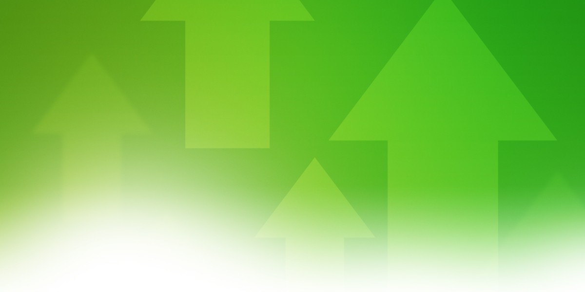 $700 Loan No Credit Check: An Observational Research