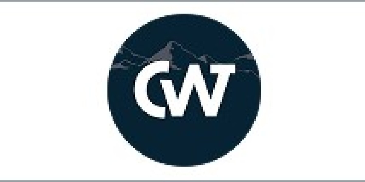 Why Outsourced Bookkeeping in Tampa, FL Is the Smart Choice for Growing Businesses