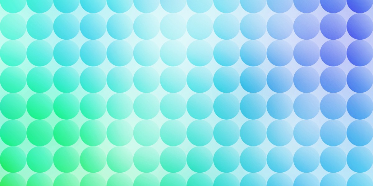 No Credit Check Registration Loans: A Complete Case Study