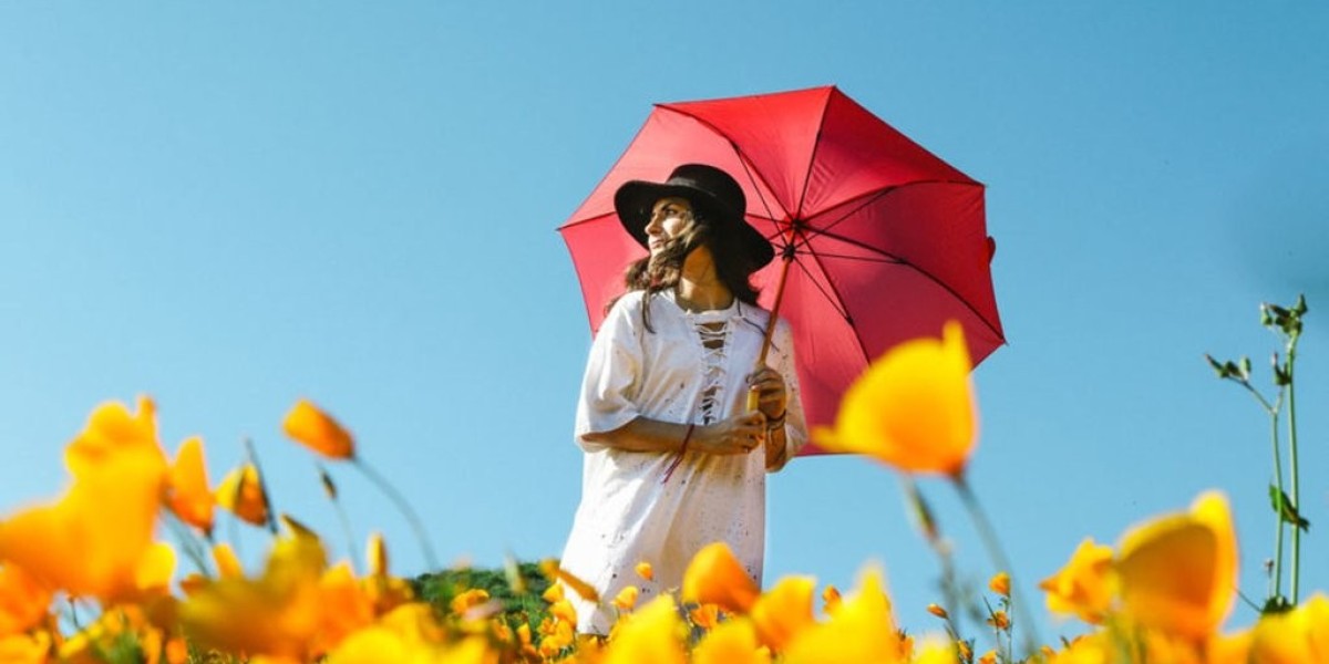 Top Features to Look for When Buying an Umbrella