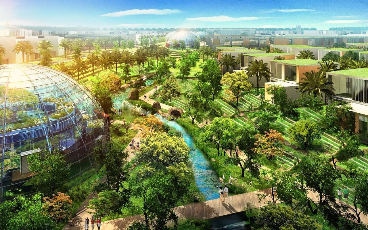 scap land Profile Picture