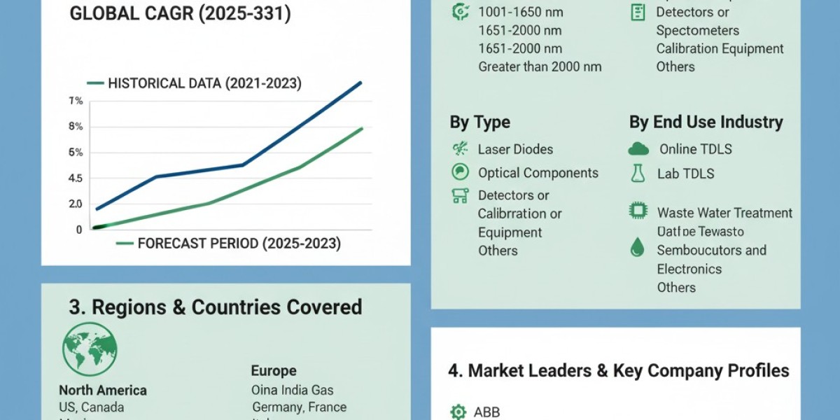 Tunable Diode Laser Analyzer Market: Ensuring Reliability in Metal and Mining Operations