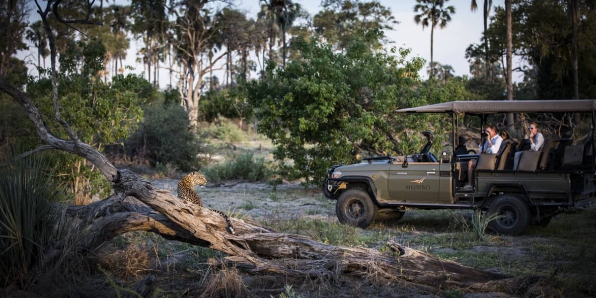 Adventure Awaits with Dubai’s Private Safari Tour Deals