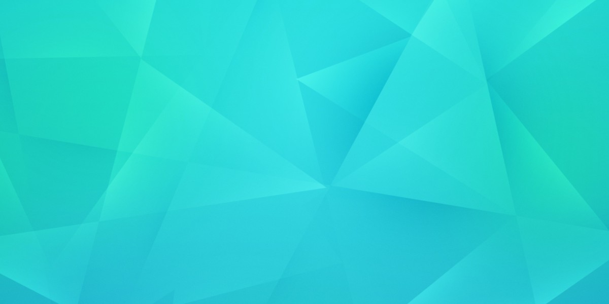 Applying for a Loan Online With No Credit Check: A Comprehensive Guide