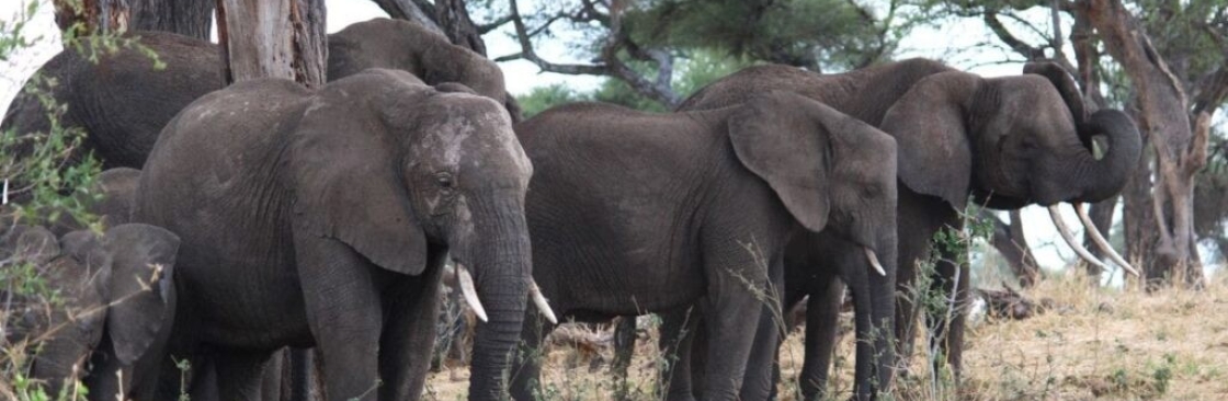 Amrix Adventures Ltd Cover Image