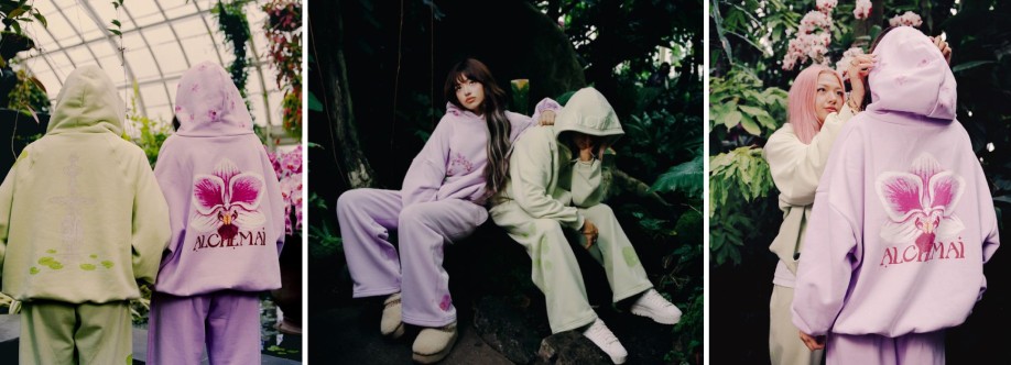 Alchemai Brand Cover Image