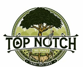 Top Notch Tree Services Profile Picture