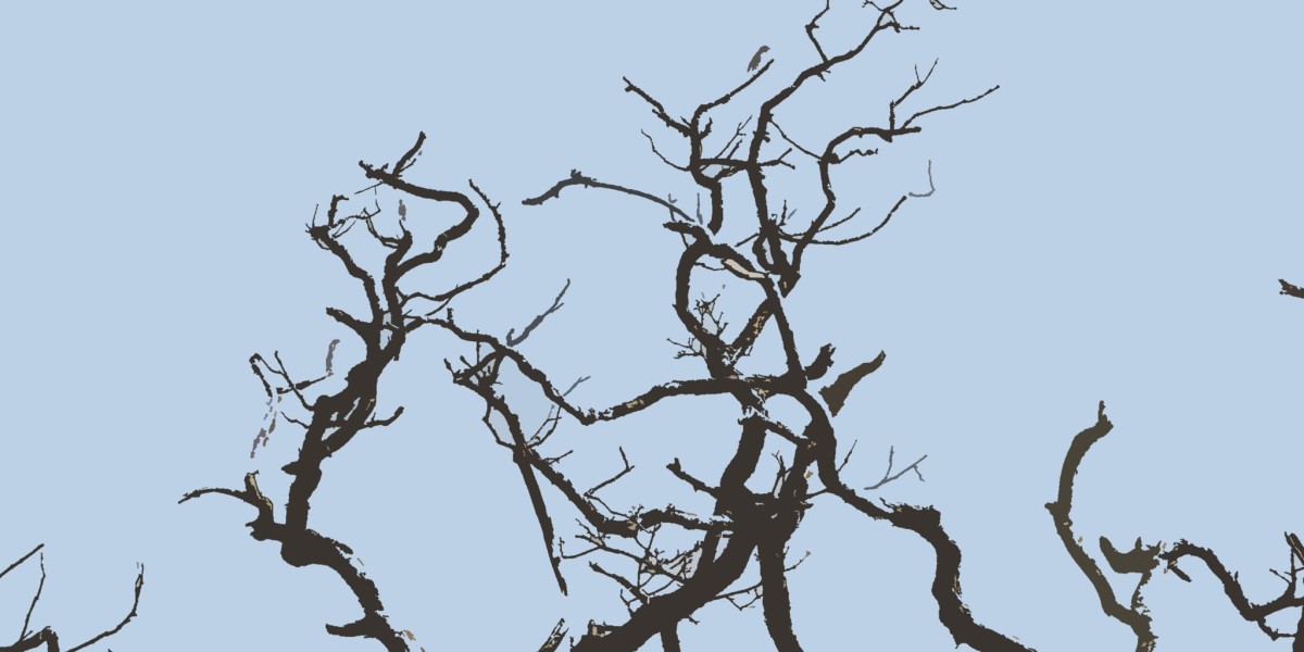 Peptide Stacking Myths Vs Facts