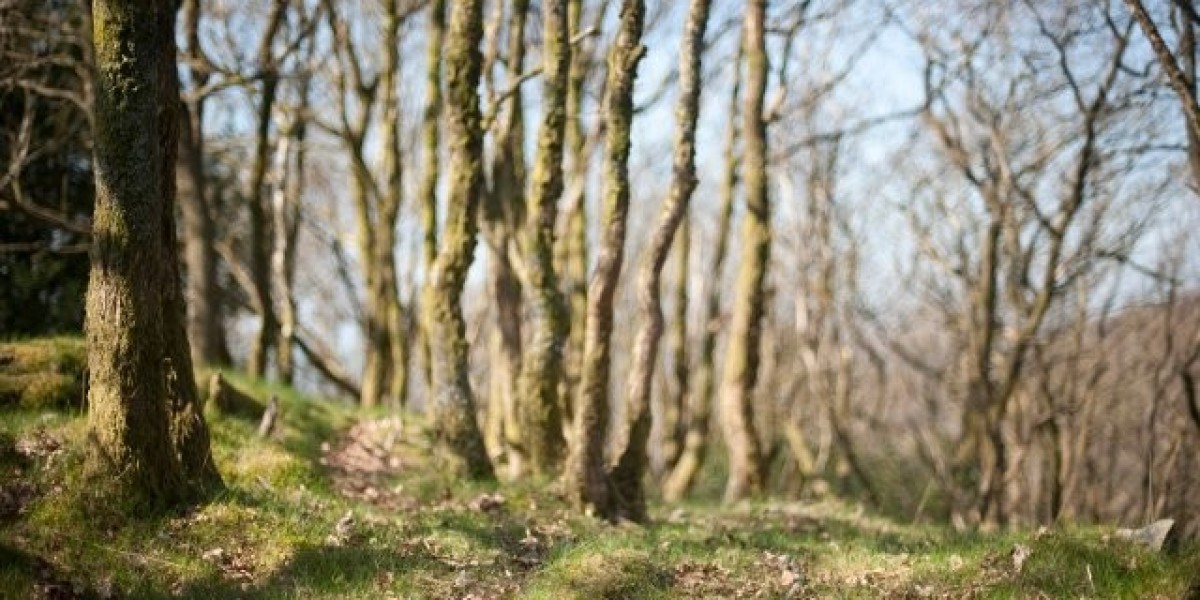 Insulin-ähnlicher Wachstumsfaktor 1 (IGF-1): Anwendungsgebiete, Nutzen und Dosierungshinweise