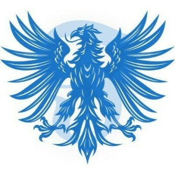 Falcon Tour Travel Profile Picture