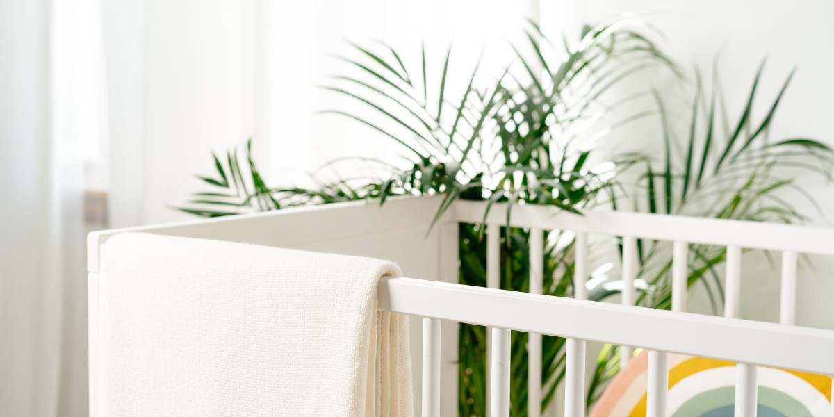 Your Family Will Be Thankful For Getting This Best Cot