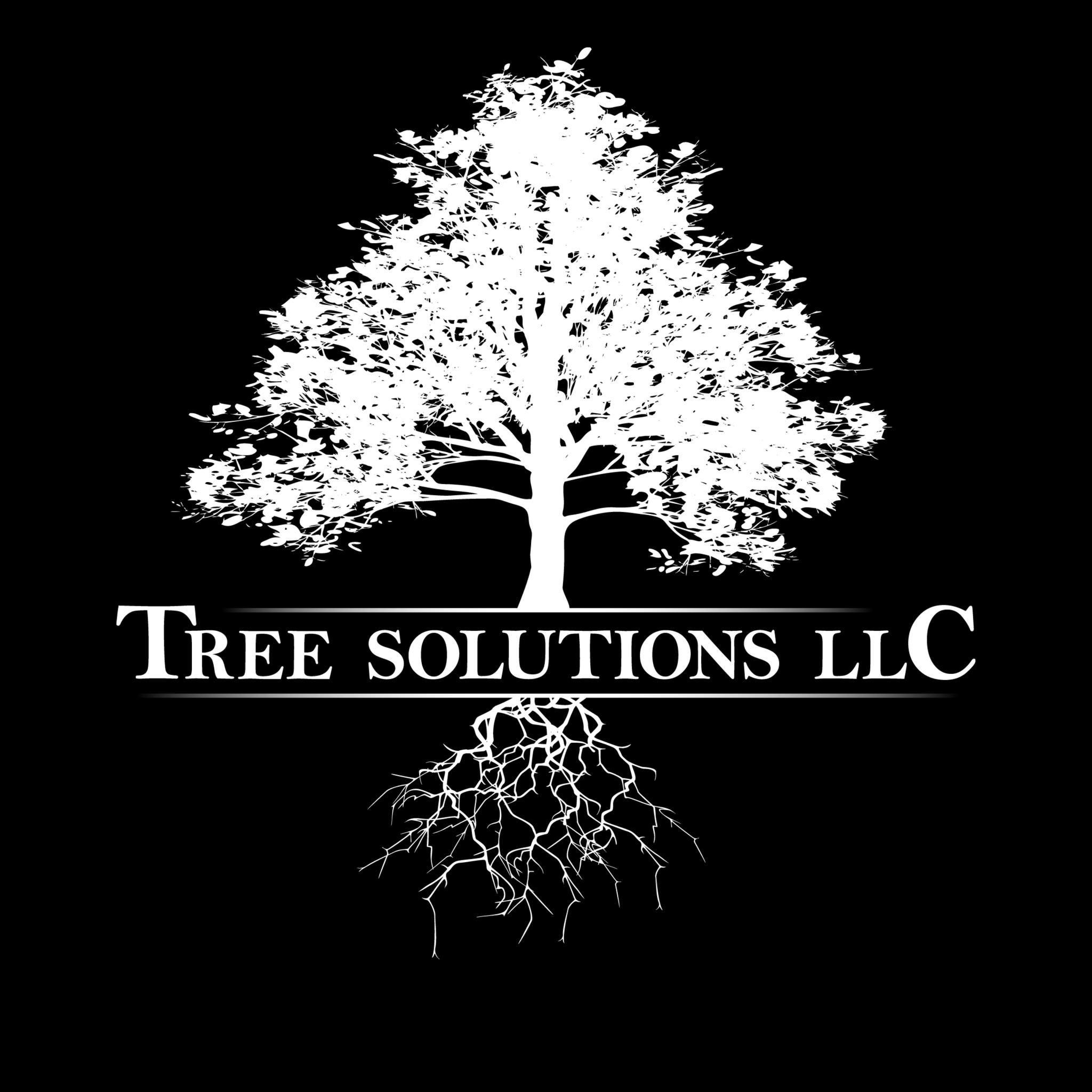 TreeSolutions Profile Picture