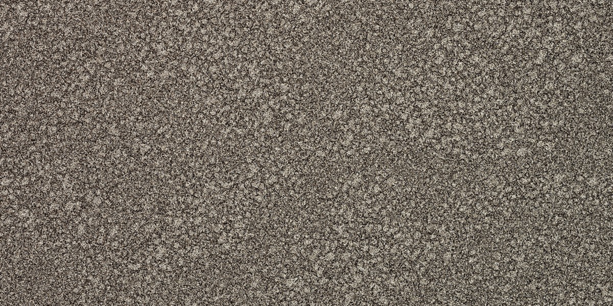 $250 Loan No Credit Check: A Complete Overview