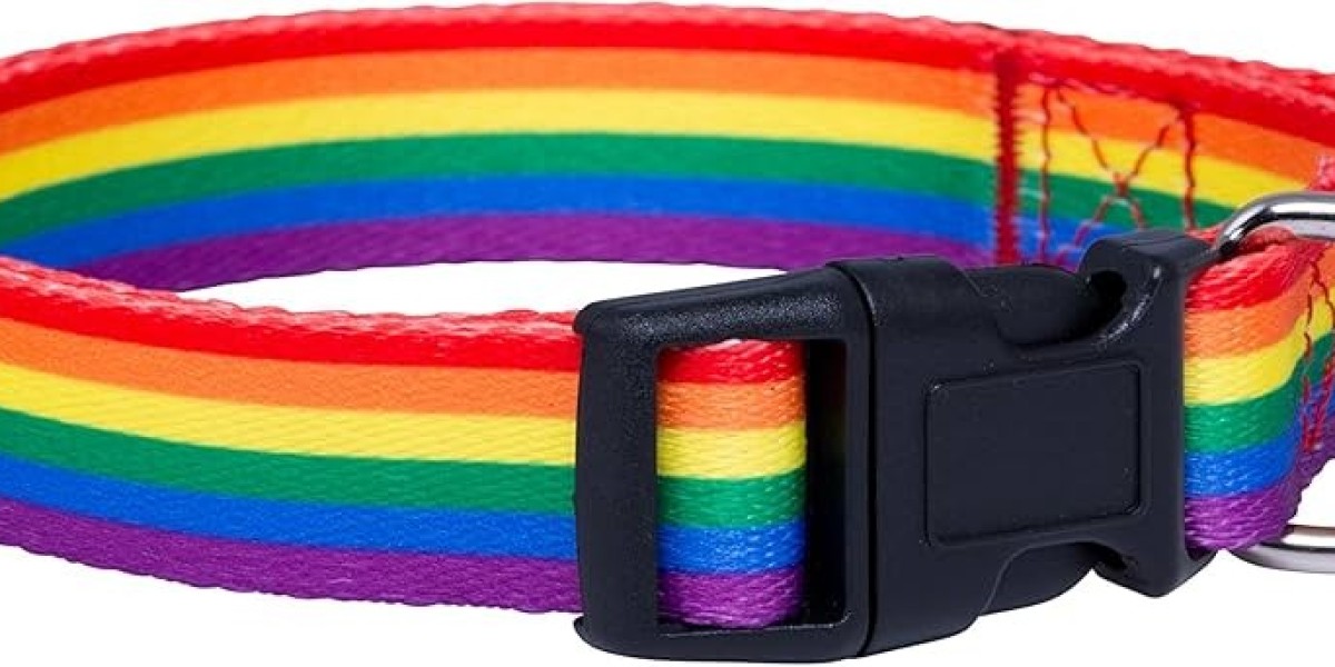 Brighten Your Pup’s Style: The Beauty and Purpose of a Rainbow Collar for Dogs