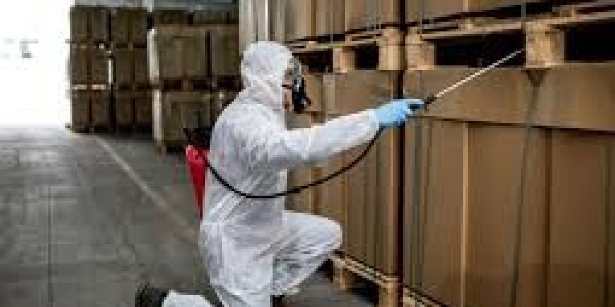 Exterminator Vancouver, Mice Removal Vancouver Expert Solutions for Effective Pest Control