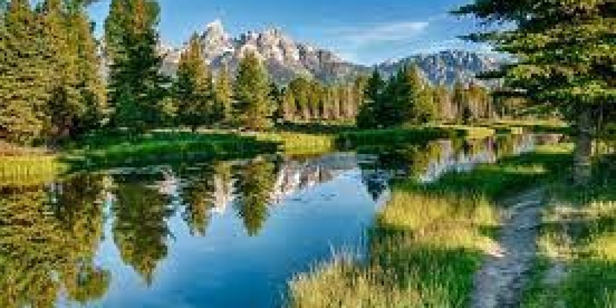 Opening a business in the UAE