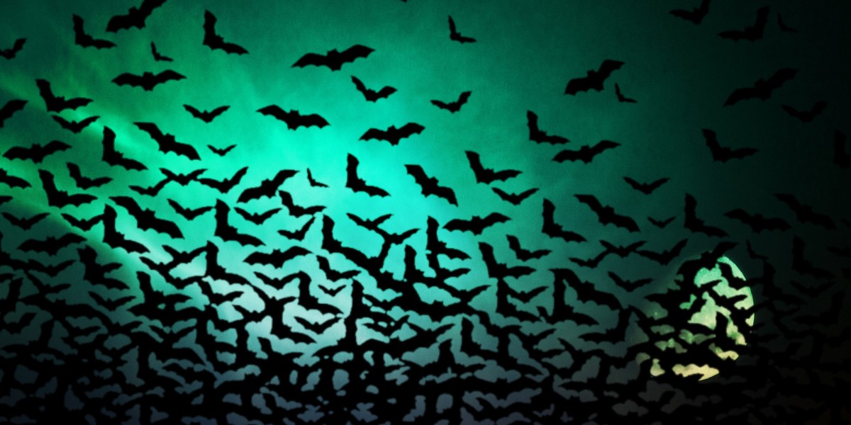 Understanding Private Plane Flights: A Comprehensive Overview