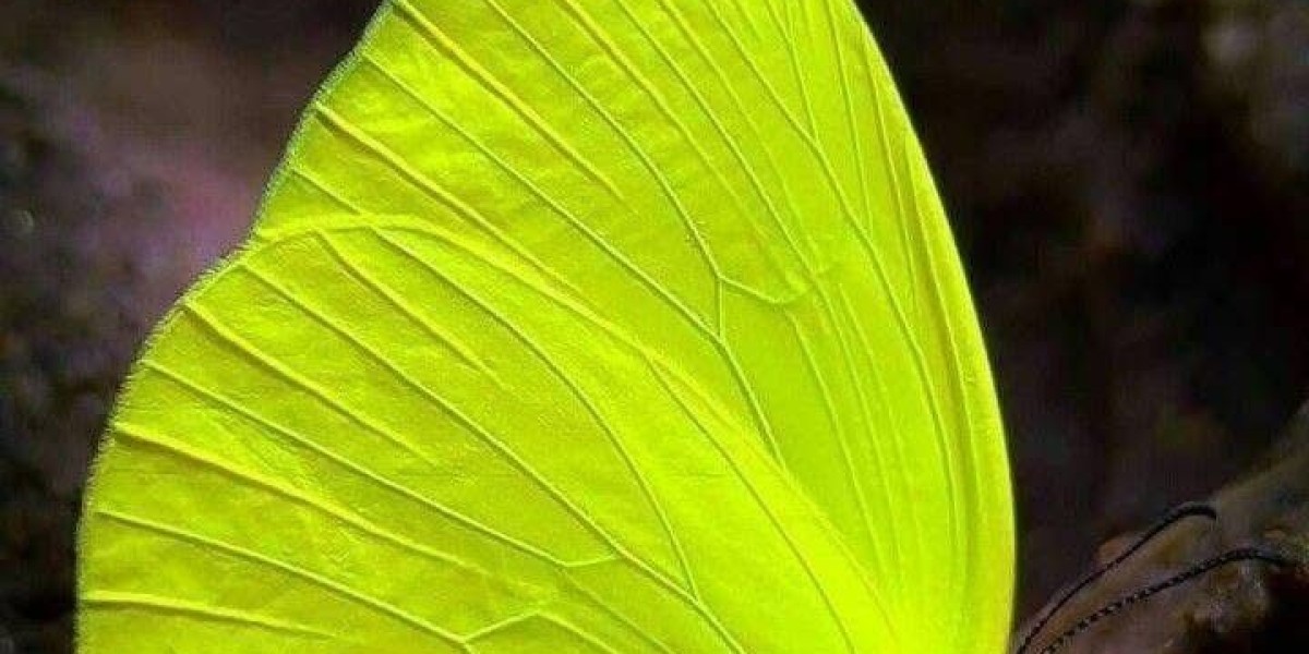 Office Stationery Suppliers: Keeping Workplaces Organized and Efficient