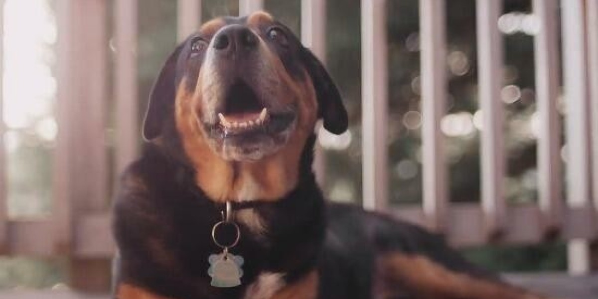 Executory Contracts And Lease-to-Own Real Estate