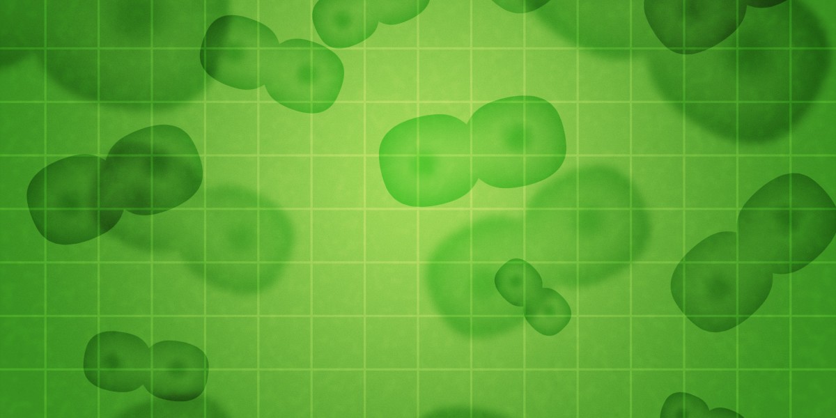 Understanding Modafinil: The Nootropic For Enhanced Cognitive Function