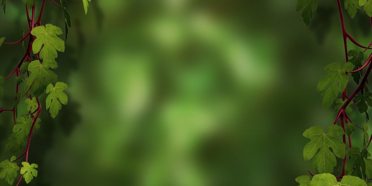 Top Gold IRA Companies: A Complete Overview Of Present Choices