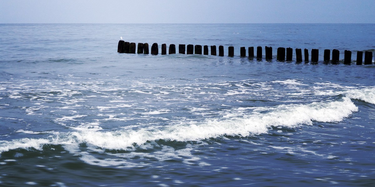 The Rise Of IRA Gold Accounts: A Complete Case Study