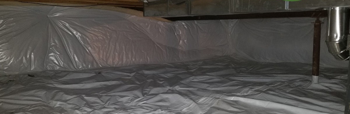 Restorable Solutions Mold Remediation Cover Image