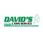 davidslawnservice Profile Picture