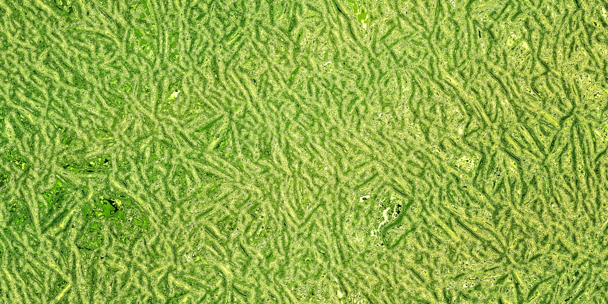 The Rise of Luxury Private Jets: A Case Study on the Market for High-End Aviation