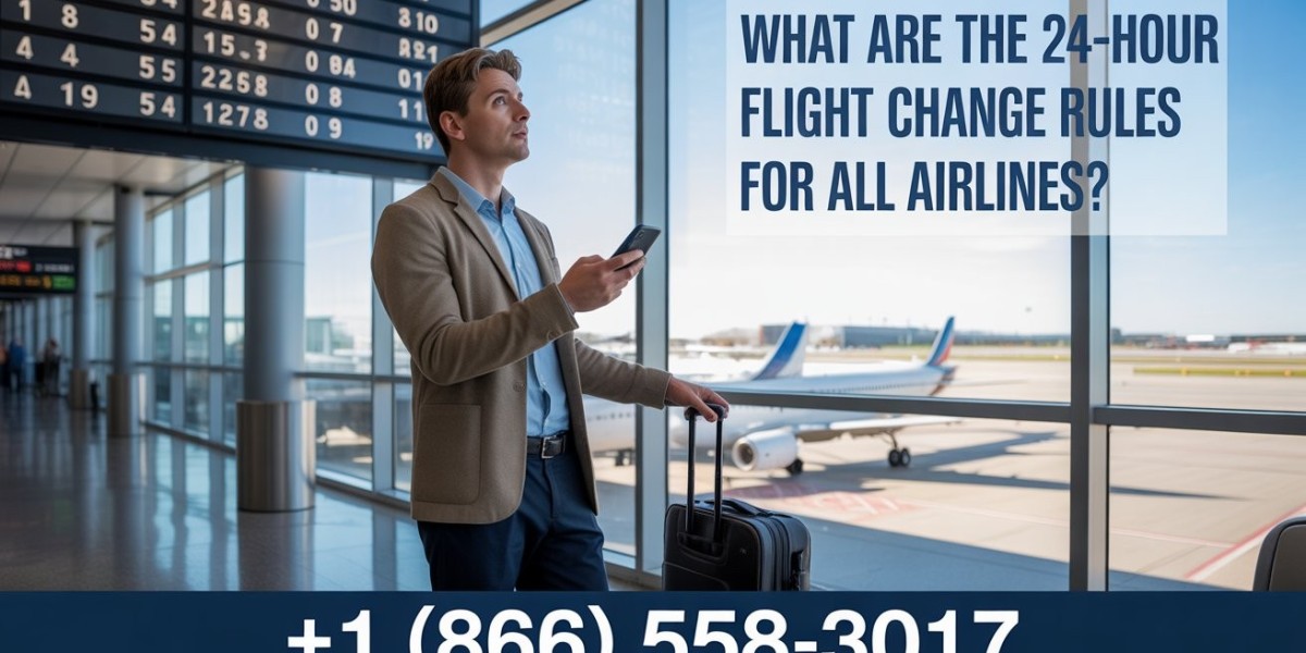 Avelo Pet Policy Guide: Everything You Need to Know Before Flying With Your Pet