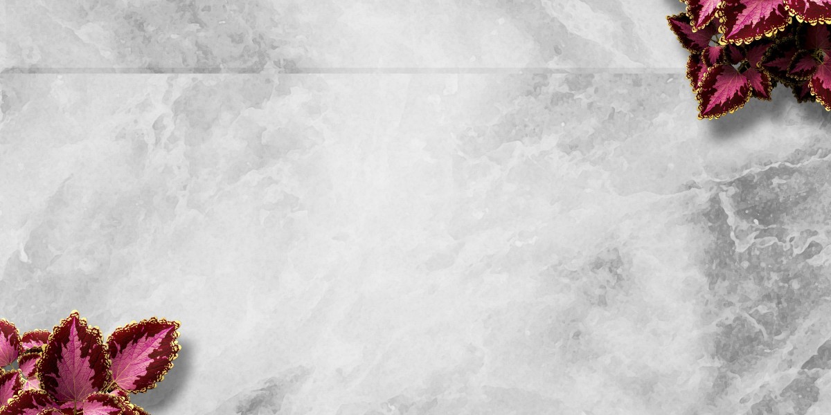 Exploring the Best Private Jet Charter Services: A Comprehensive Guide