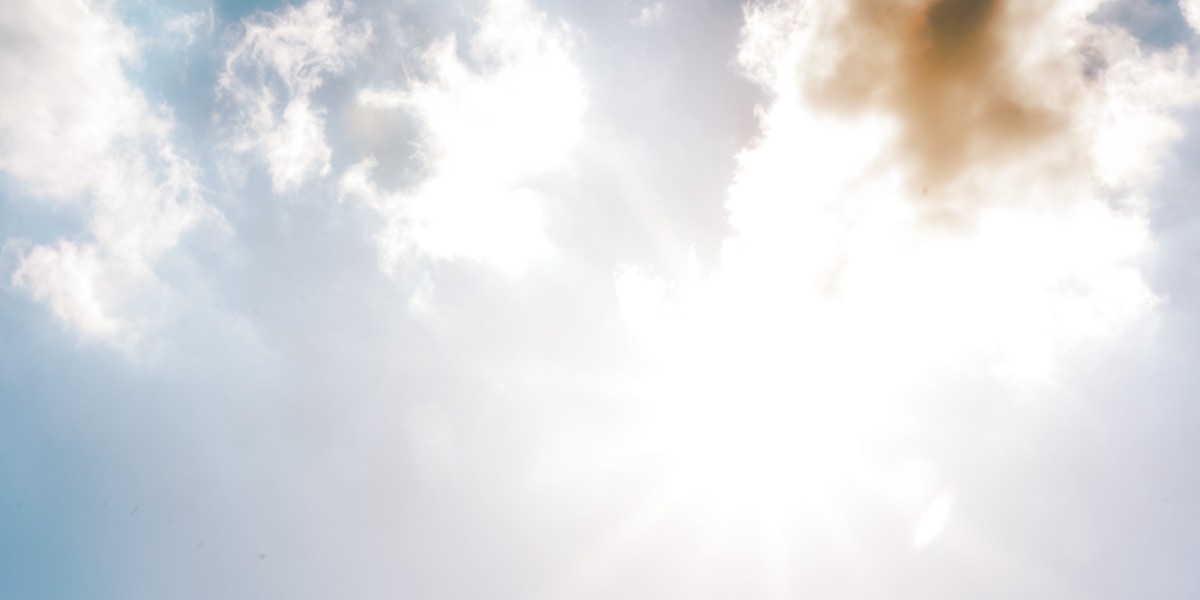 Exploring the Landscape of Precious Metals IRA Self Storage: An Observational Study