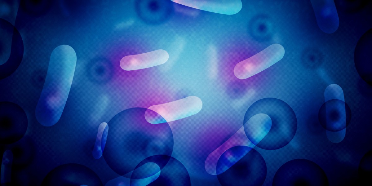 Investing in Precious Metals IRA: A Comprehensive Guide to the Best Options