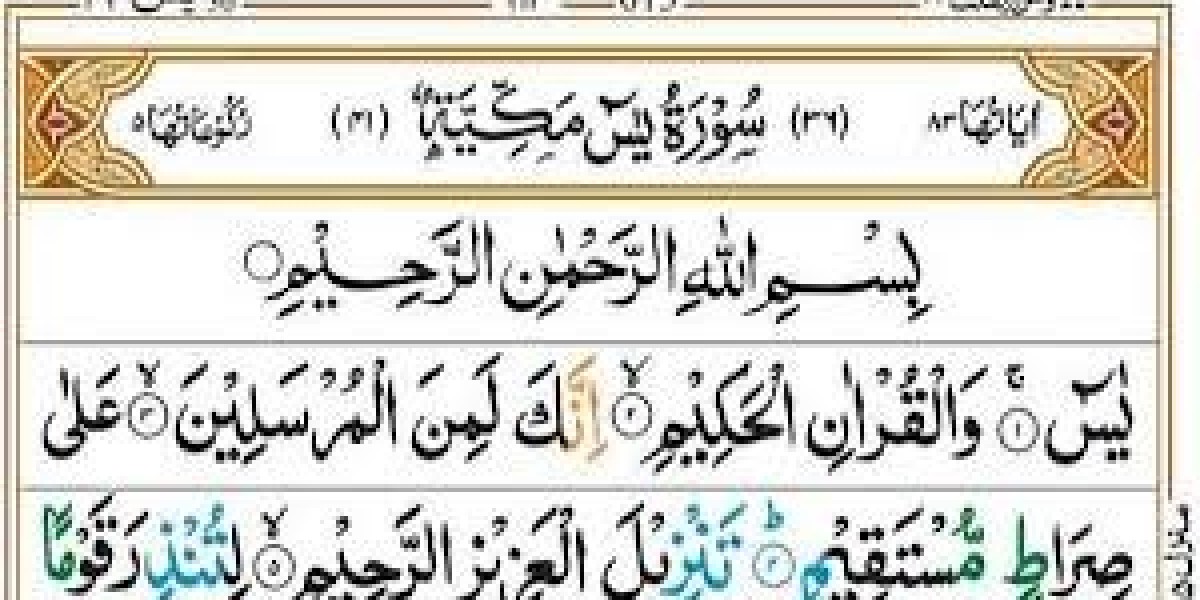 The Spiritual Essence and Timeless Message of Surah Yasin