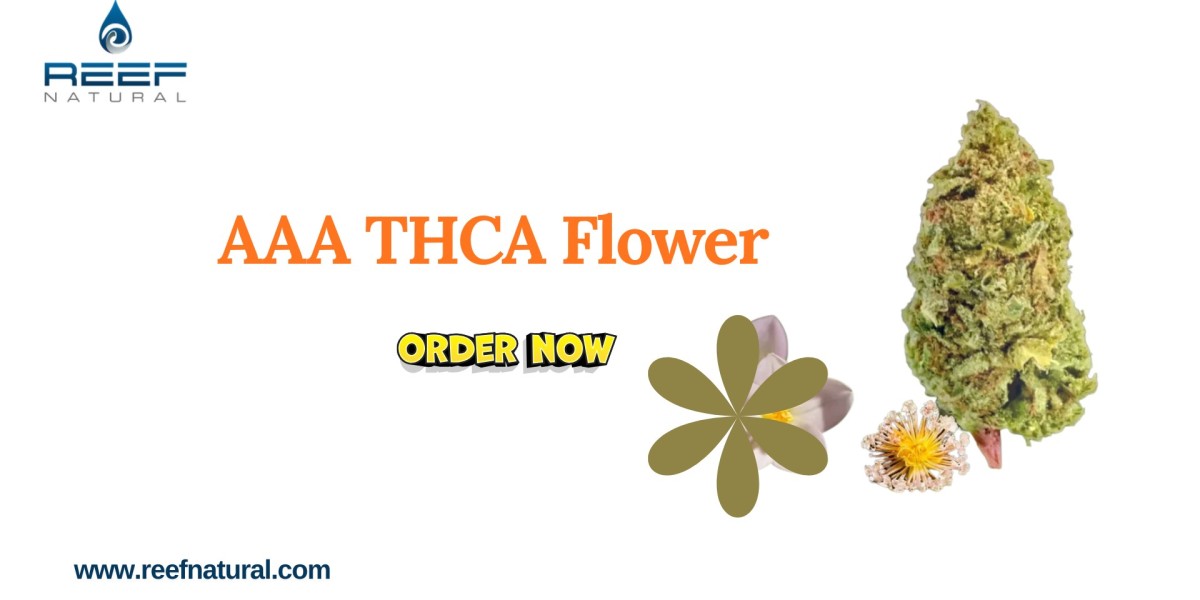 AAA THCA Flower Wholesale – Buy Bulk Cannabis Online