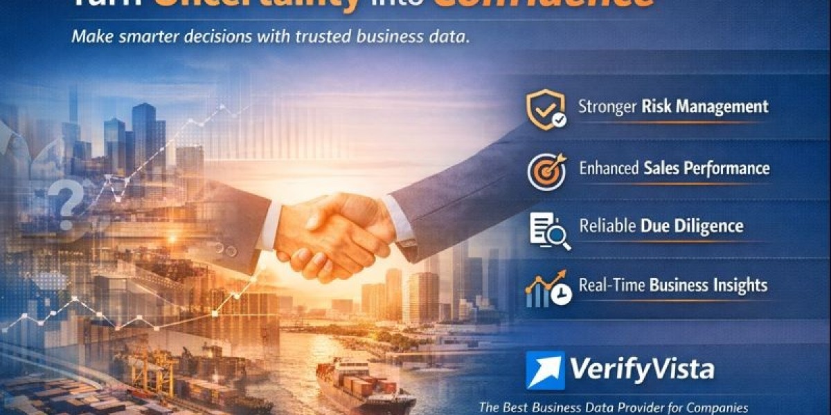 How VerifyVista Turns Business Uncertainty into Confident Action