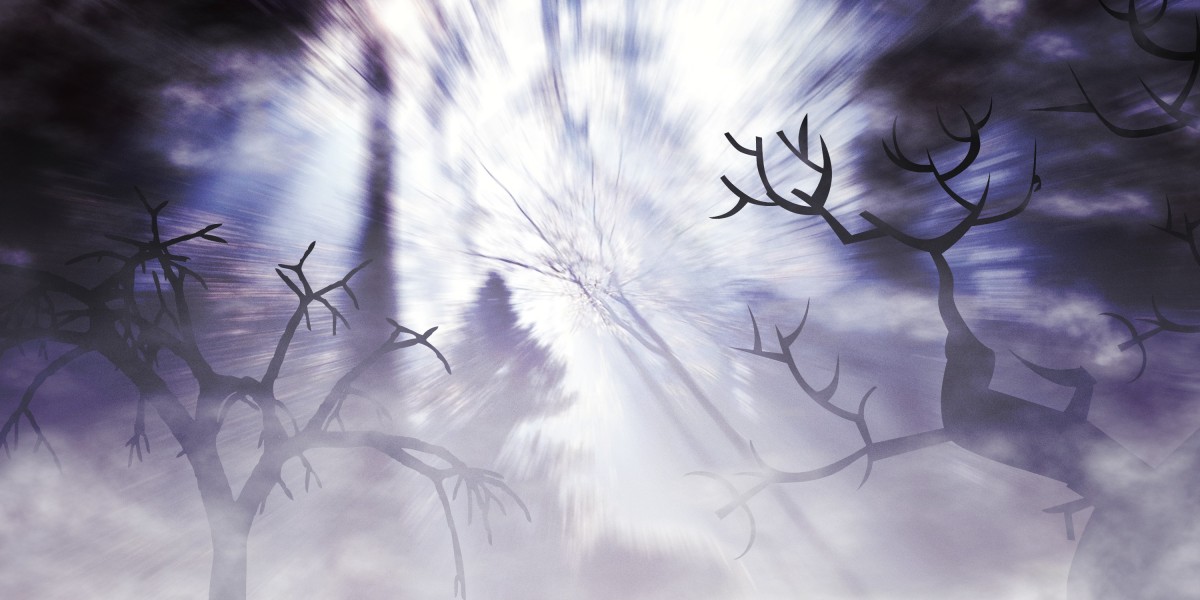 Exploring the World of Aircraft Rentals: A Comprehensive Observational Study