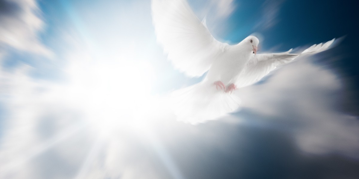 Augusta Precious Metals IRA: A Comprehensive Study Report