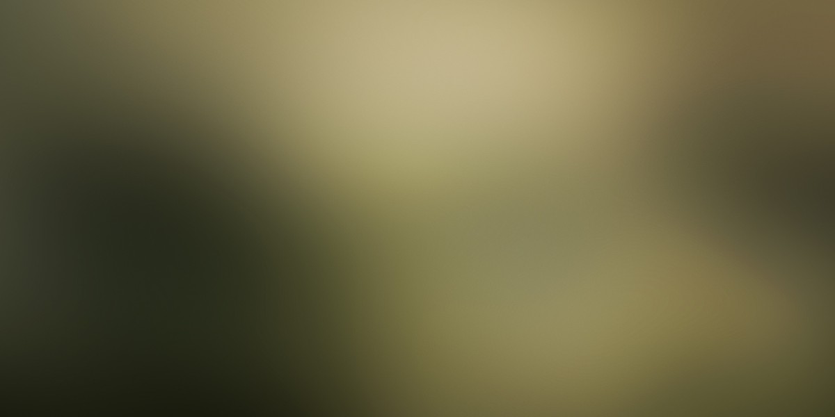 Exploring Gold IRA Investment Companies: A Comprehensive Observational Study