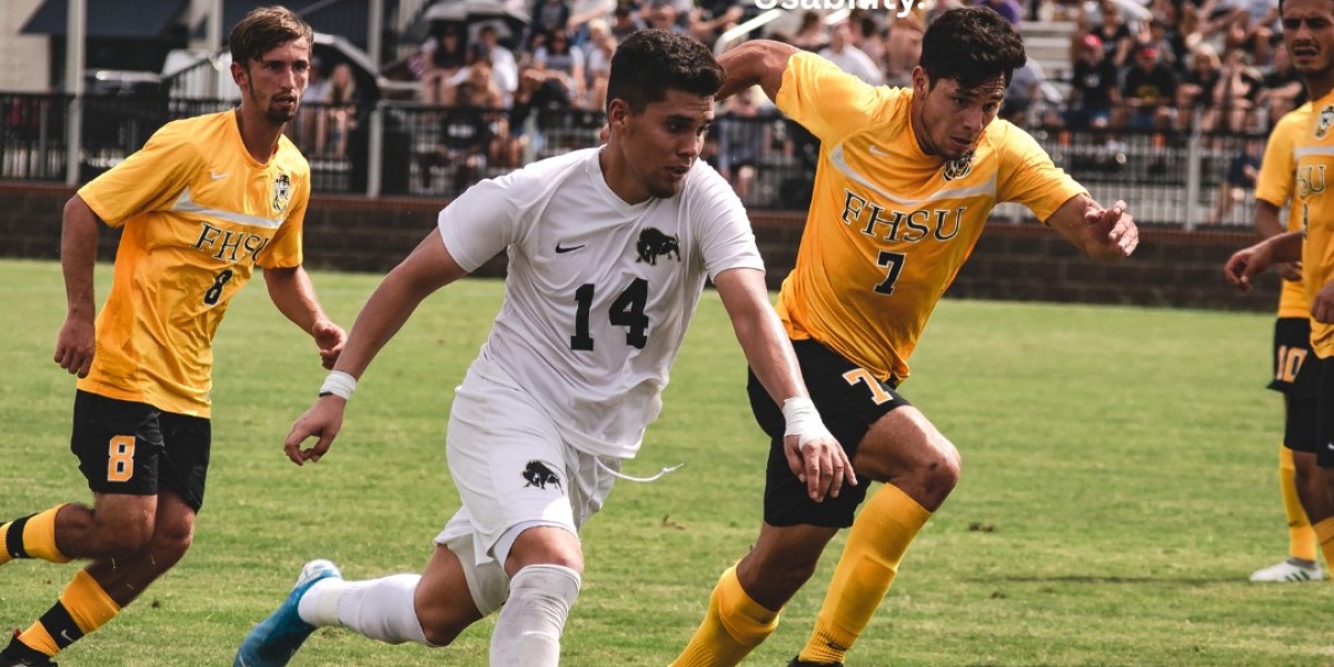 Online Betting Fairplay: A Detailed Analysis of the Functionality, Security and Usability.