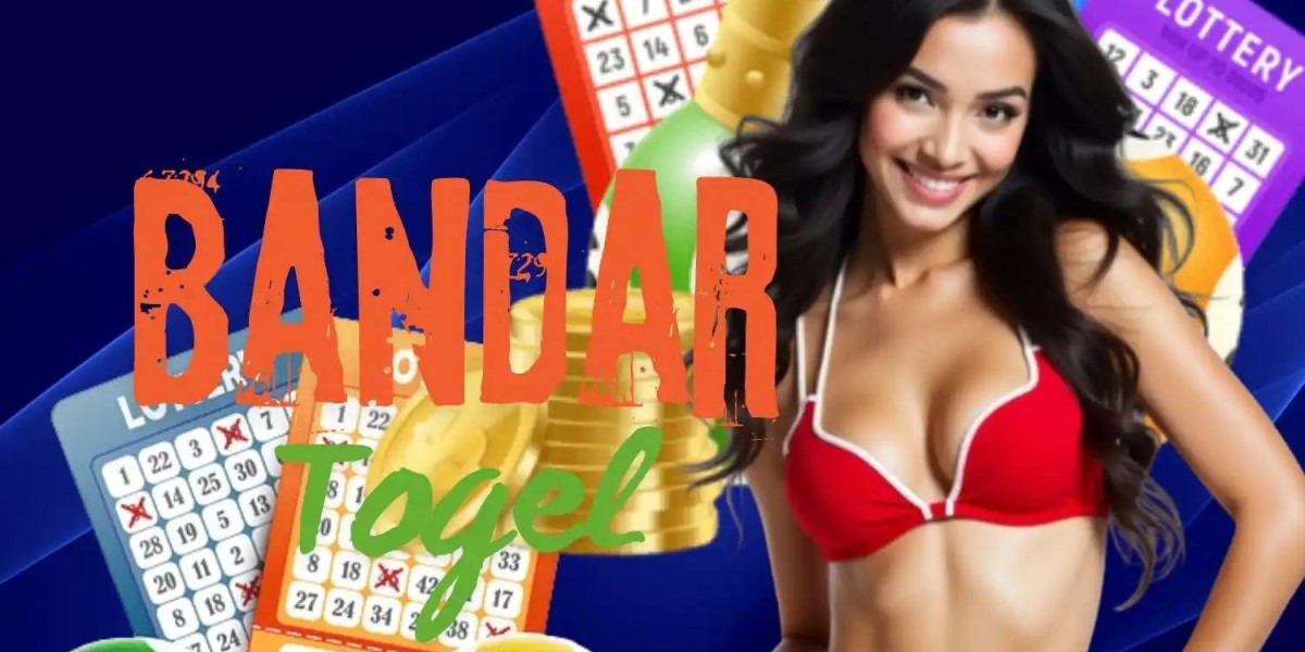 Live Togel Information Built on Accuracy and Trust