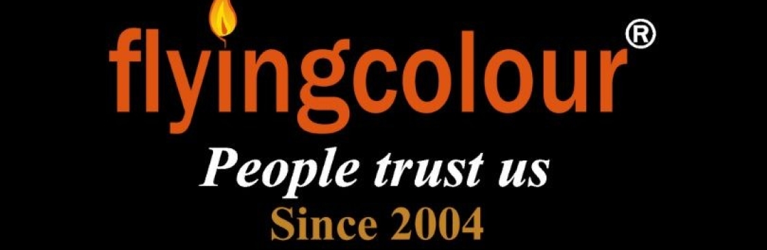 Flyingcolour Business Setup Cover Image