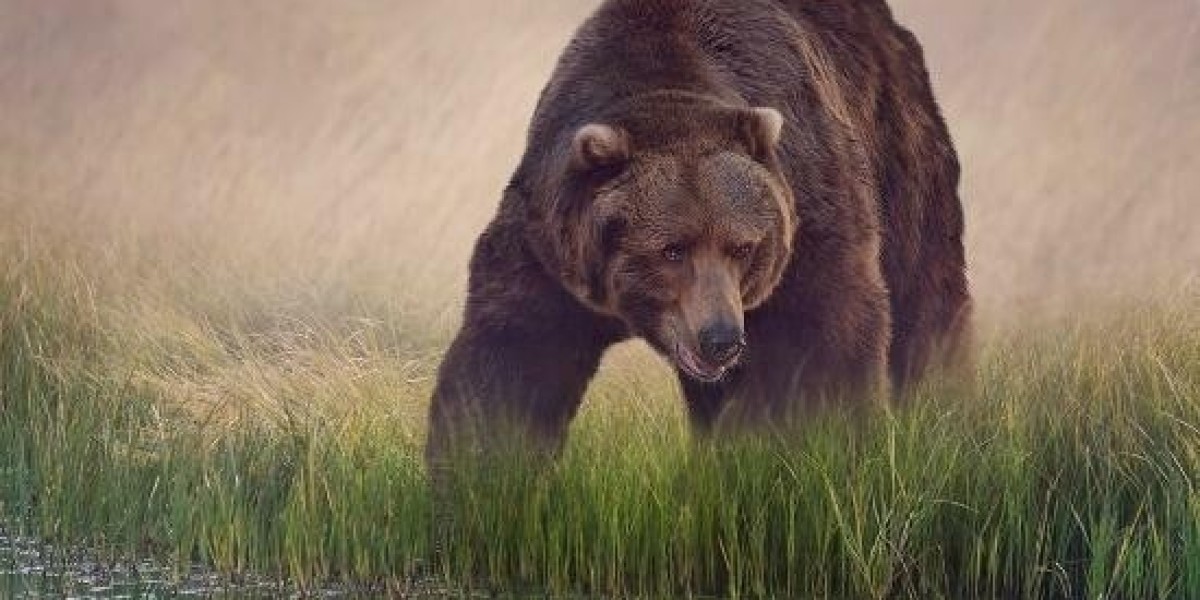 Flying Eagles Striker on His Way to Belgium