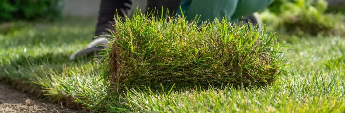 RP Landscape Cover Image