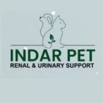 indarpet Profile Picture