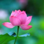 powerman668 Profile Picture