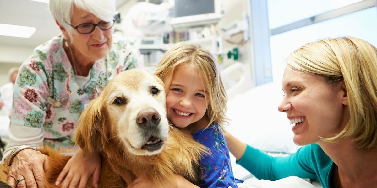 The Therapeutic Bond: Understanding the Role of Animals in Psychotherapy